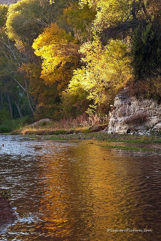 Fall Reflections.jpg :: Fall Reflections