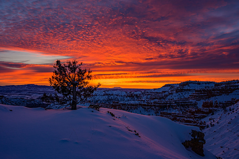 Fire and Ice at Bryce.jpg :: Fire and Ice at Bryce