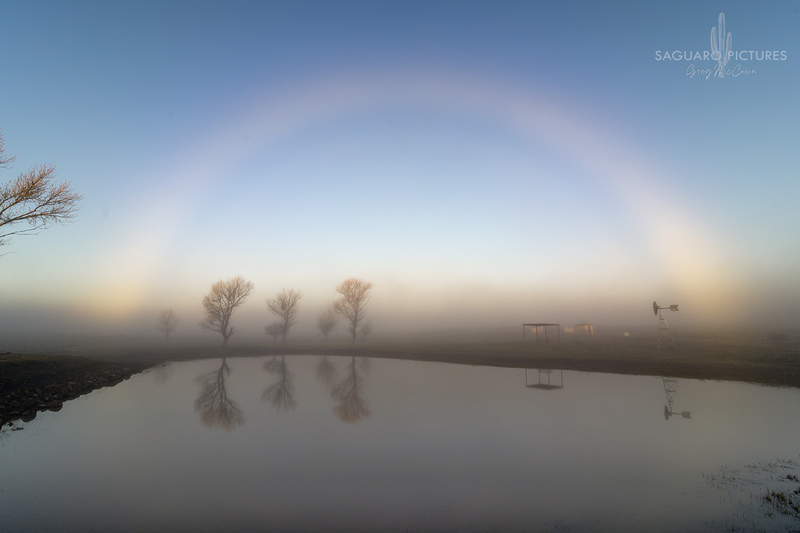 Fog Bow.jpg :: Fog Bow