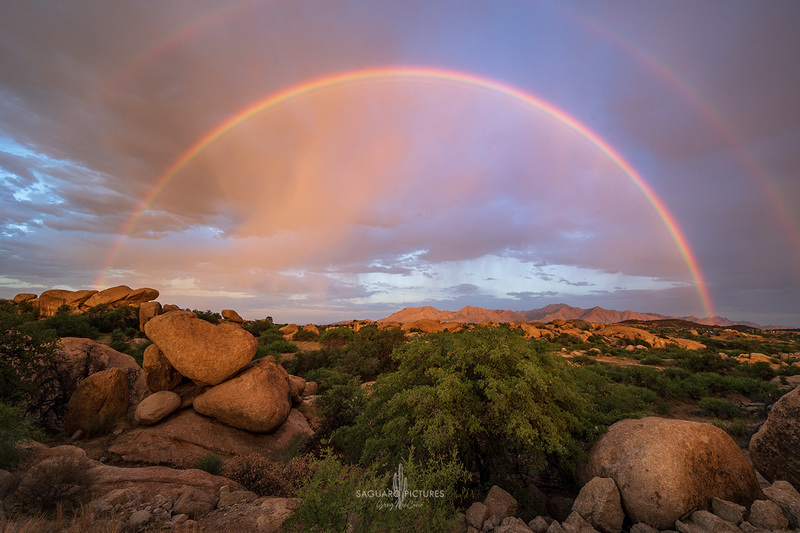 Full Double.jpg :: Full Double