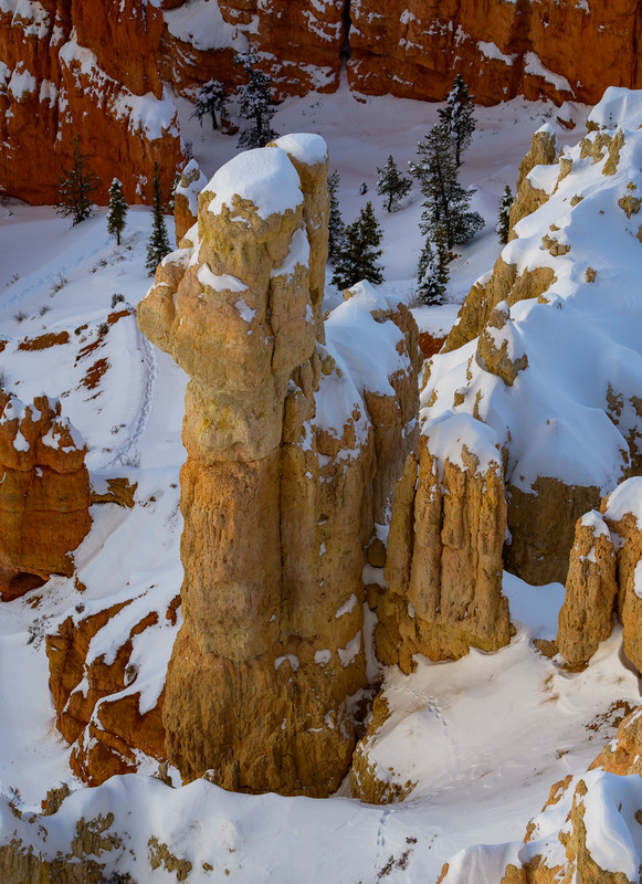 Hoodoos on Ice 2.jpg :: Hoodoos on Ice 2
