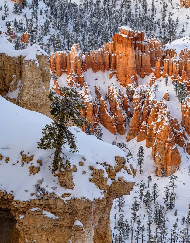 Hoodoos on Ice 3.jpg :: Hoodoos on Ice 3