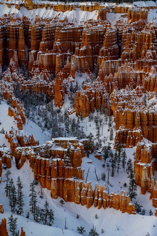 Hoodoos on Ice.jpg :: Hoodoos on Ice