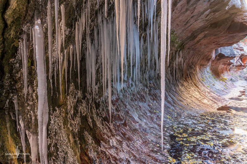Icicles at The Subway.jpg :: Icicles at The Subway