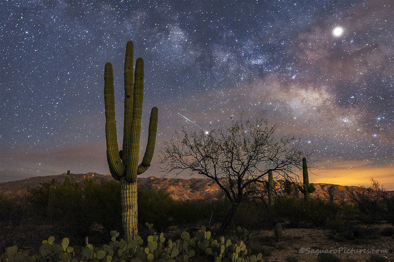 Jupiter Rising.jpg :: Jupiter Rising