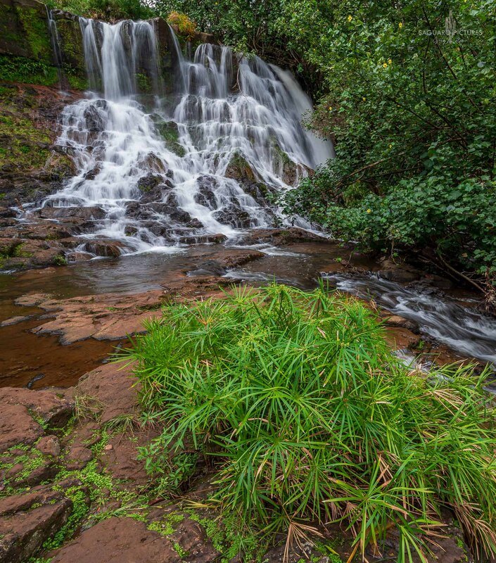 Kauai Waterfall.jpg :: Kauai Waterfall