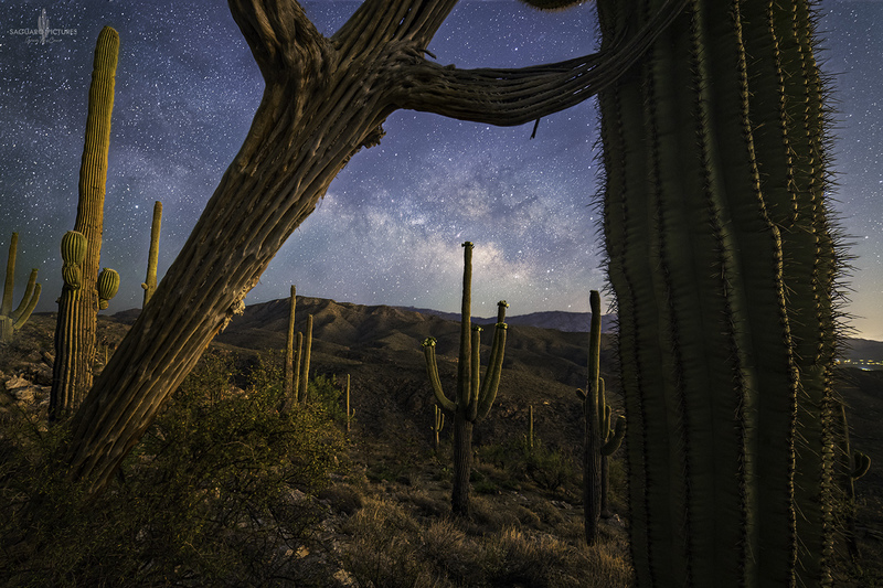 Lean on Me.jpg :: Lean on Me