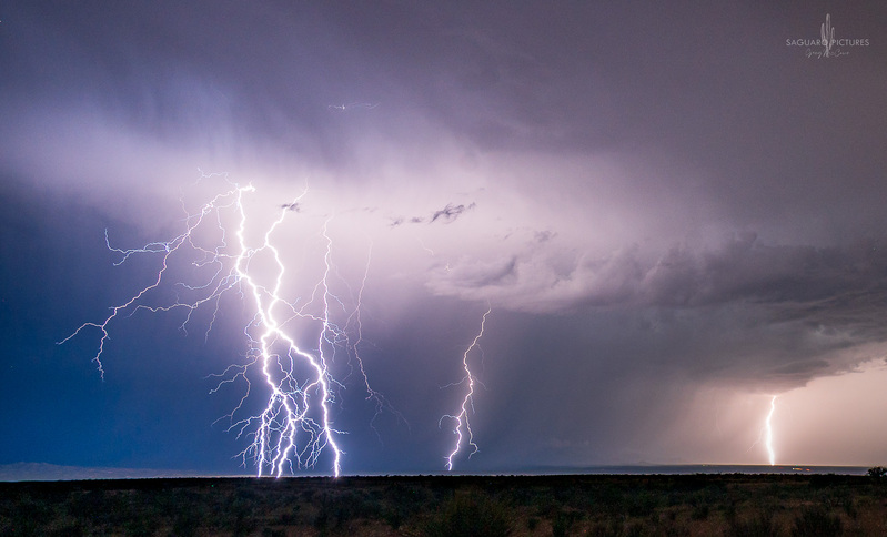 Letting Loose.jpg :: Letting Loose