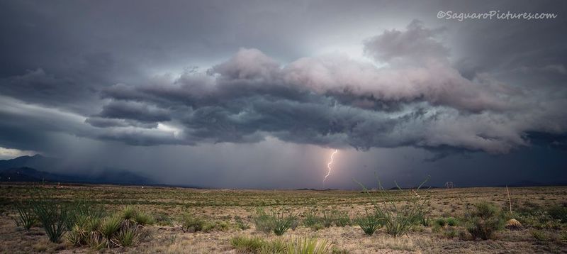 Lightning Shelf.jpg :: Lightning Shelf