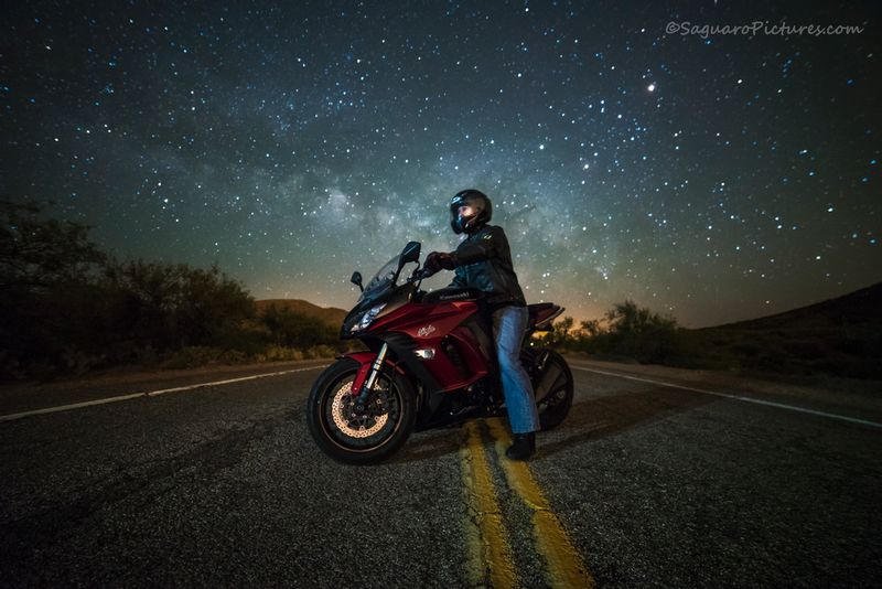 Midnight Rider.jpg :: Midnight Rider