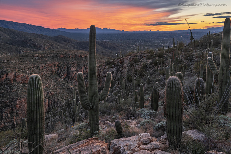 Molino Canyon Sunset.jpg :: Molino Canyon Sunset