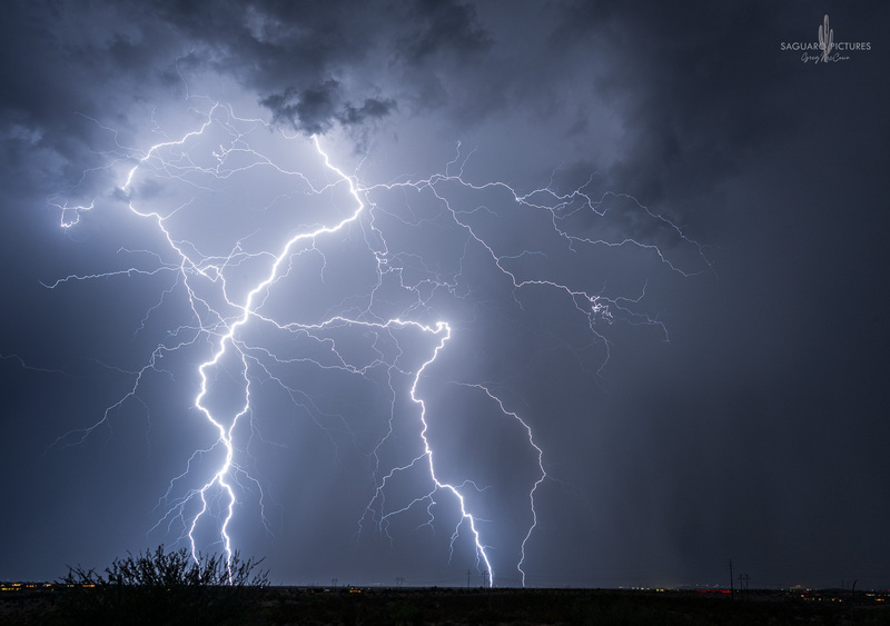 Monster.jpg :: Monster