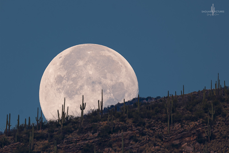Moon over the Desert.jpg :: Moon over the Desert