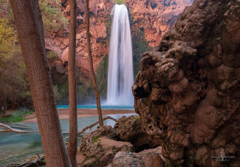 Mooney Falls.jpg :: Mooney Falls