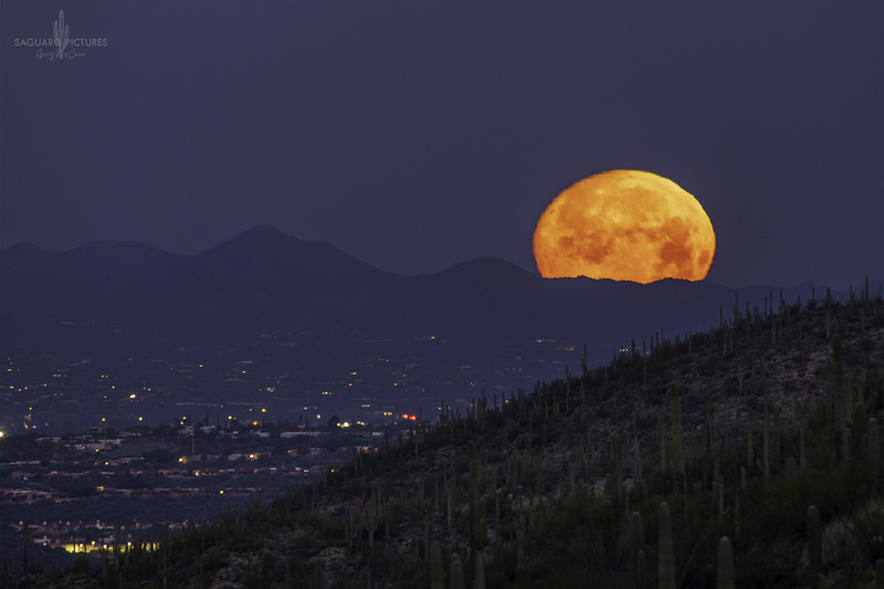 Moonset.jpg :: Moonset