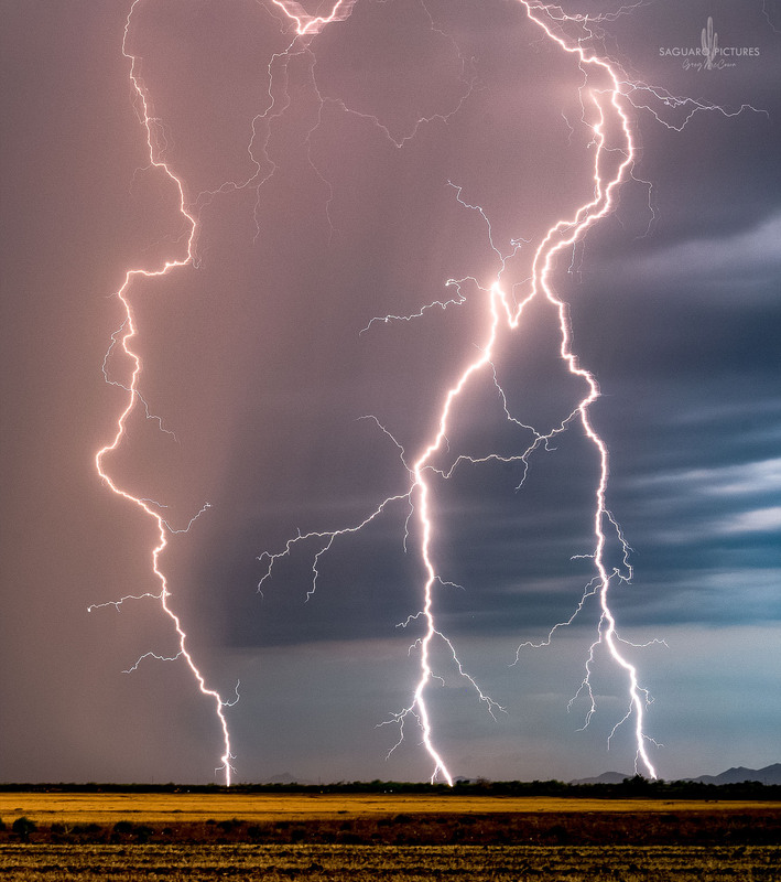 One Two Three.jpg :: One Two Three