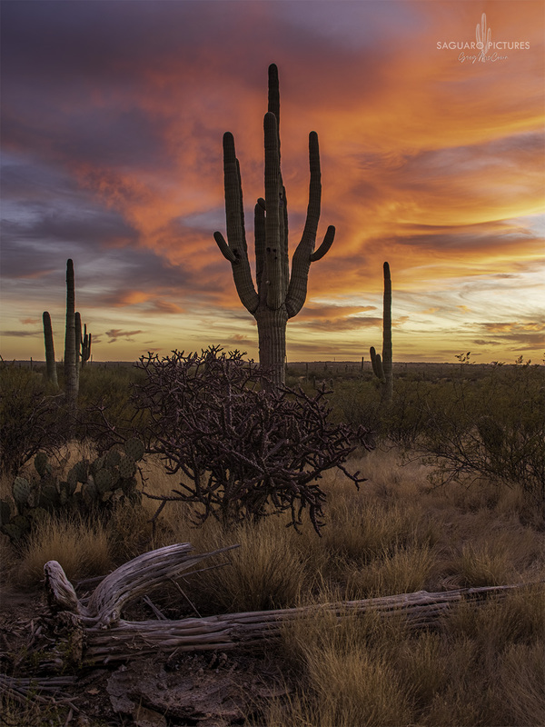 Past and Present.jpg :: Past and Present