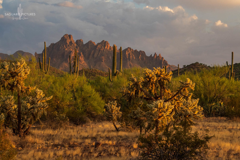 Ragged Top.jpg :: Ragged Top