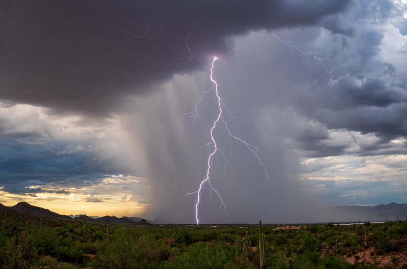 Rain Down.jpg :: Rain Down