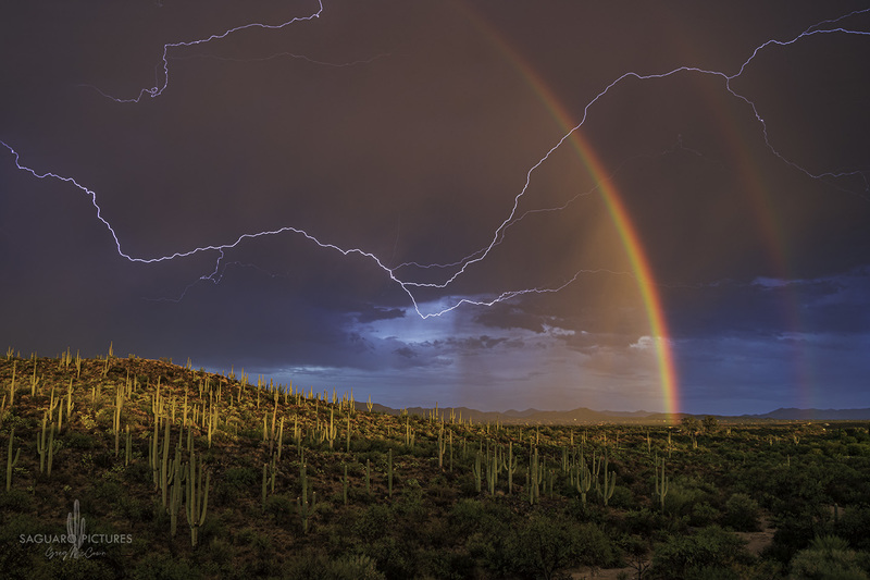Rainbows and Bolts.jpg :: Rainbows and Bolts