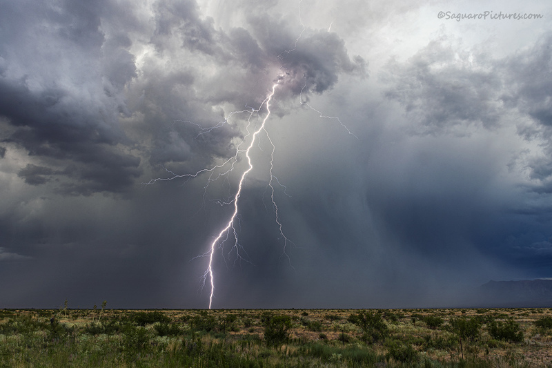 Raining Down.jpg :: Raining Down