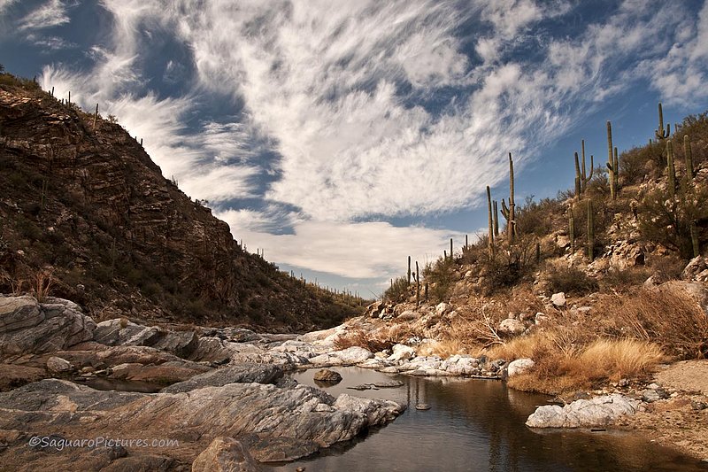 Redington Pass.jpg :: Redington Pass