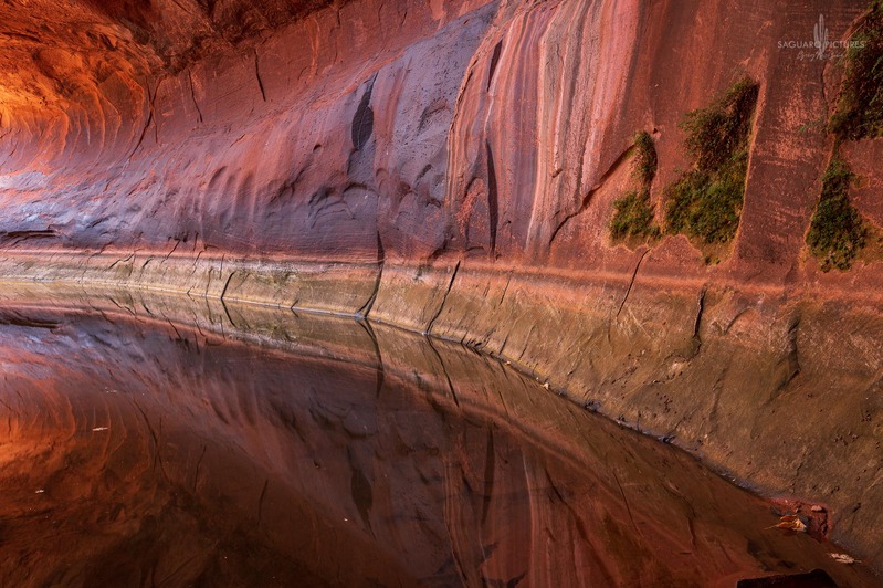 Reflected Curve.jpg :: Reflected Curve