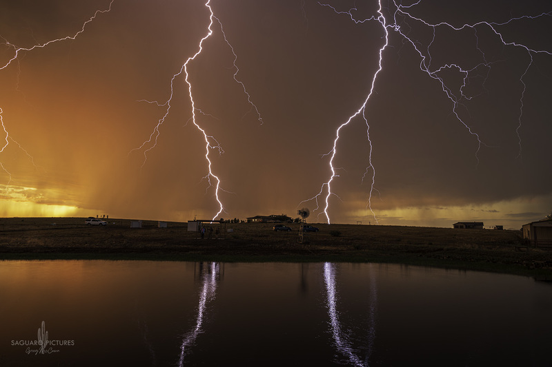 Reflected Symmetry.jpg :: Reflected Symmetry