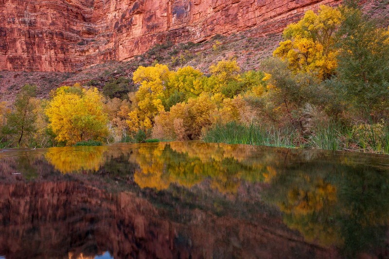 Reflection Pool.jpg :: Reflection Pool
