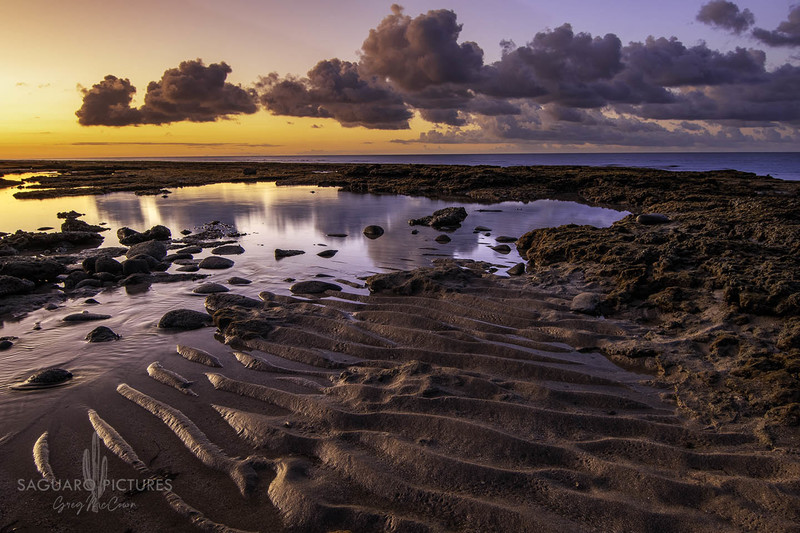 Ripples.jpg :: Ripples and Tidepools