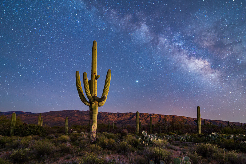 Saguaro National Park.jpg :: Saguaro National Park
