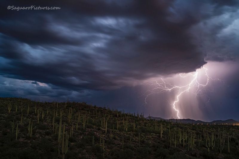 Saguaro Ridge Lightning.jpg :: Saguaro Ridge Lightning