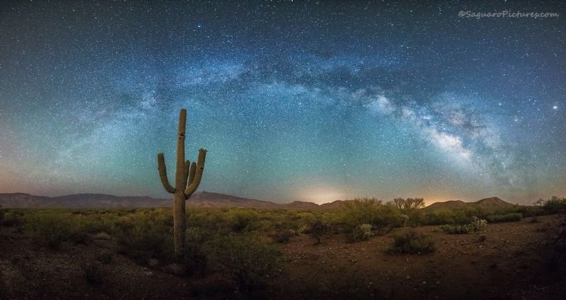 Saguaro and the Milky Way.jpg :: Saguaro and the Milky Way