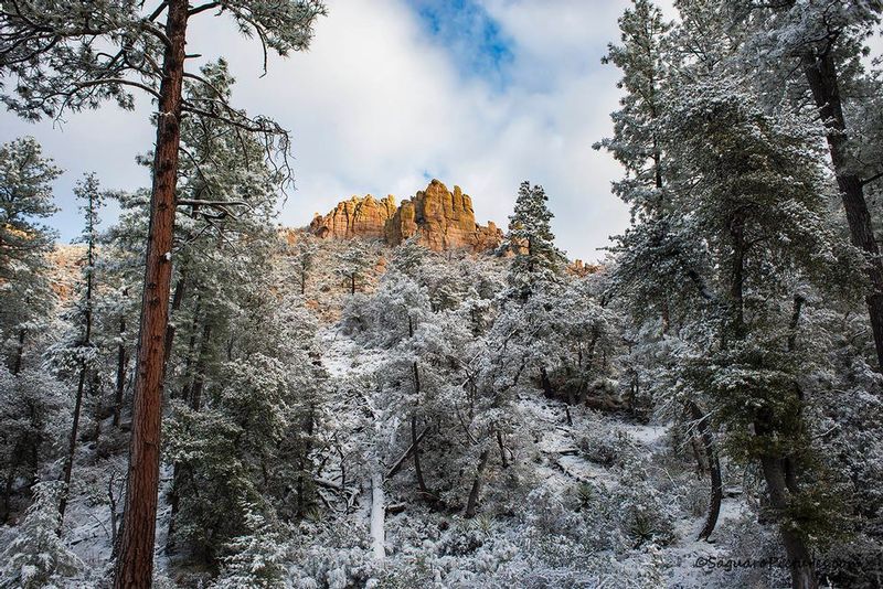 Snow and Rocks.jpg :: Snow and Rocks