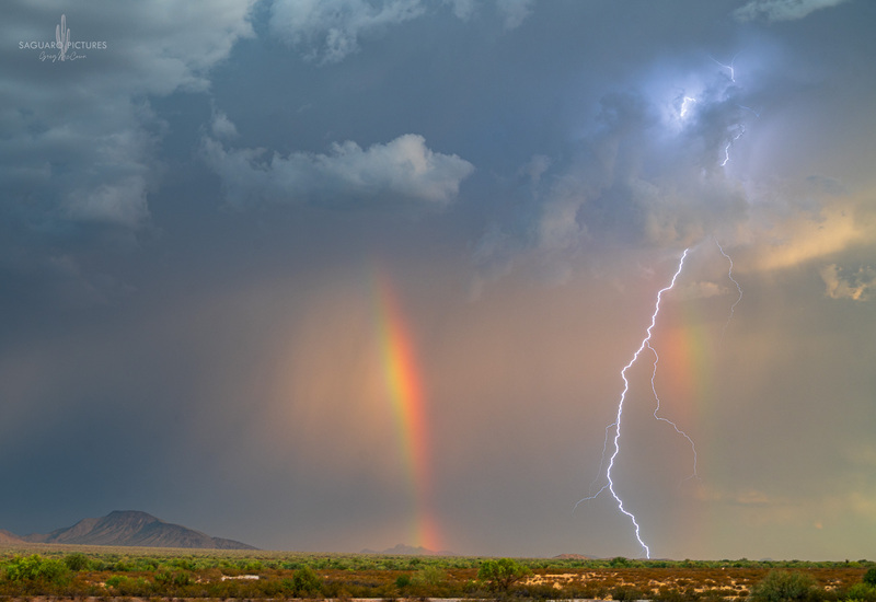 Split the Double.jpg :: Split the Double