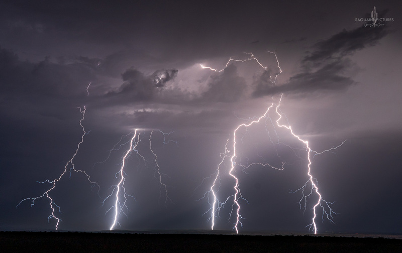 Striking Down.jpg :: Striking Down