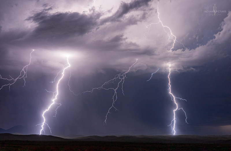 Striking.jpg :: Striking