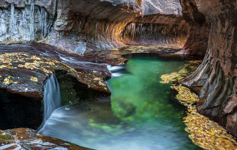 Subway Swirlys.jpg :: Subway Swirlys