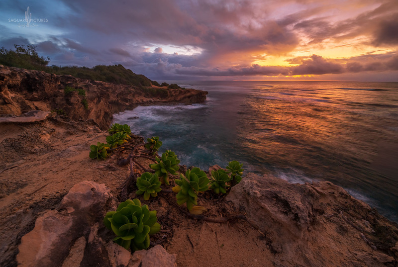 Sunrise Cliffs.jpg :: Sunrise Cliffs