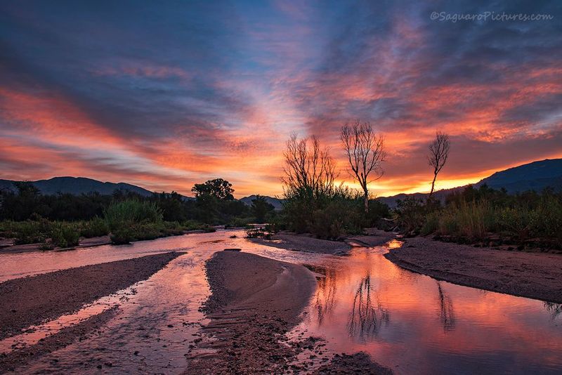Sunrise at Tanque Verde Creek.jpg :: Sunrise at Tanque Verde Creek