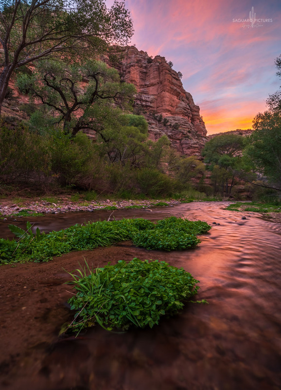 Sunset Reflection.jpg :: Sunset Reflection