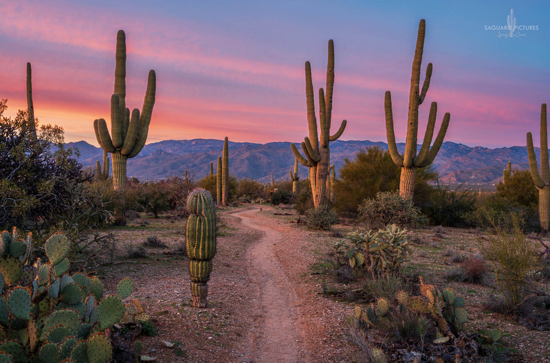 Sunset Trail.jpg :: Sunset Trail