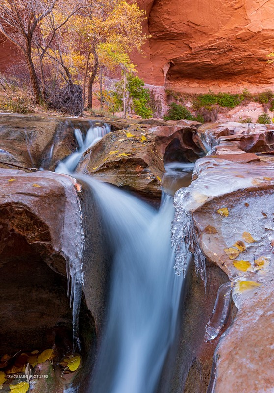 Swiss Cheese Icicles.jpg :: Swiss Cheese Icicles