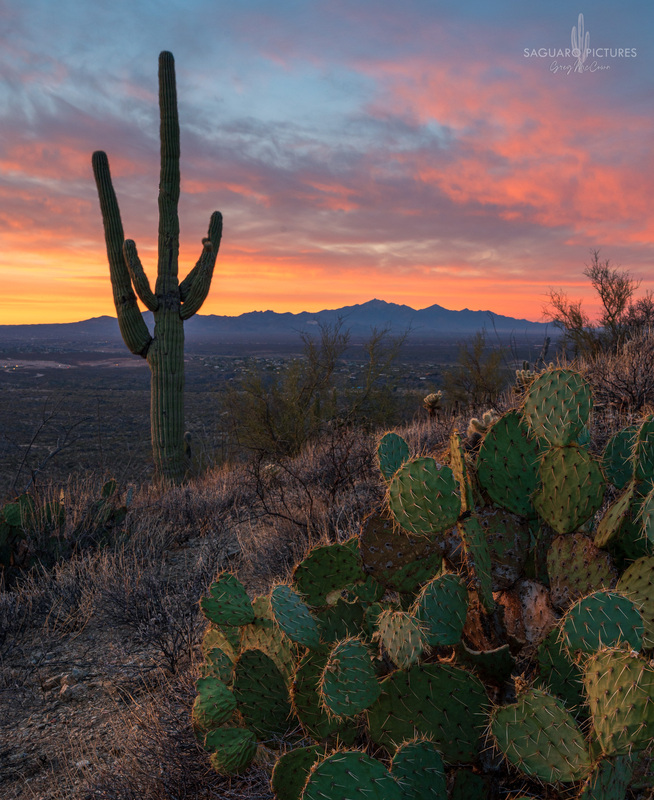 Tanque Verde Ridge.jpg :: Tanque Verde Ridge