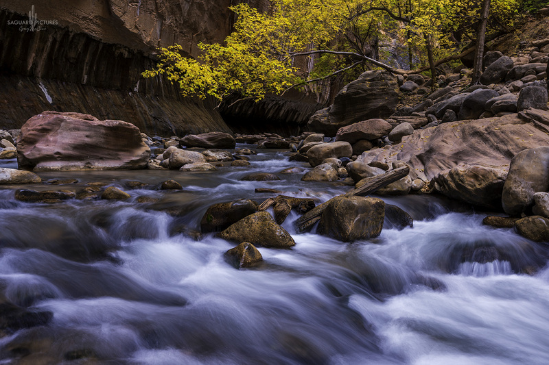 The Narrows in Yellow.jpg :: The Narrows in Yellow