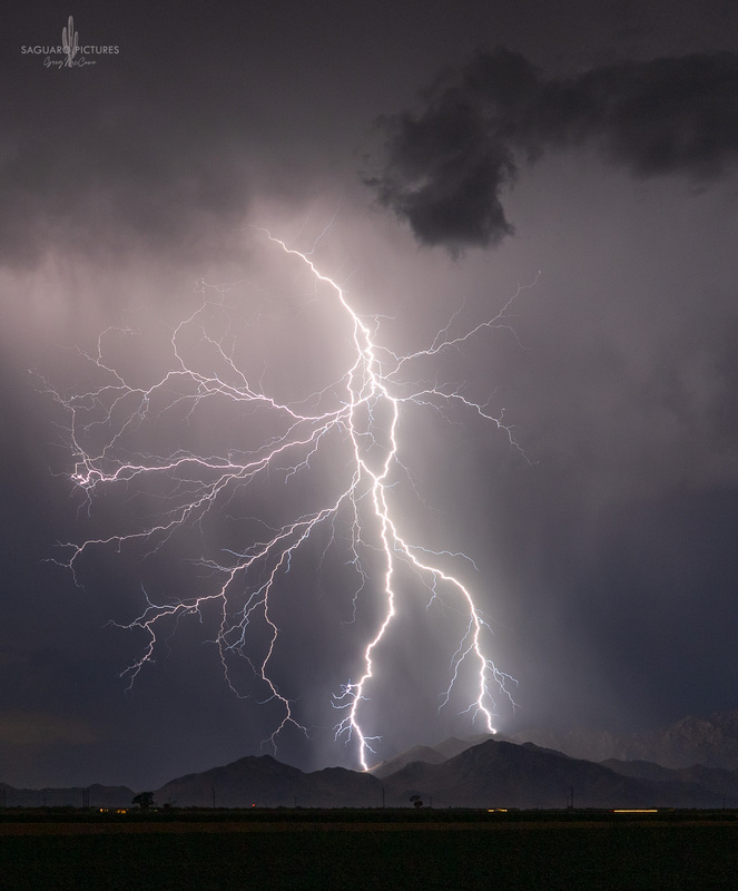 The Walker.jpg :: The Walker