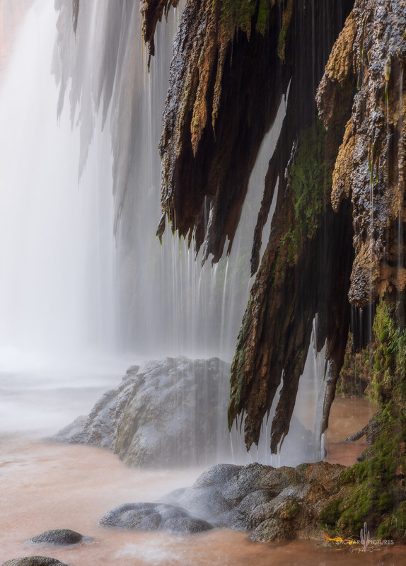 Travertine Ghosts.jpg :: Travertine Ghosts