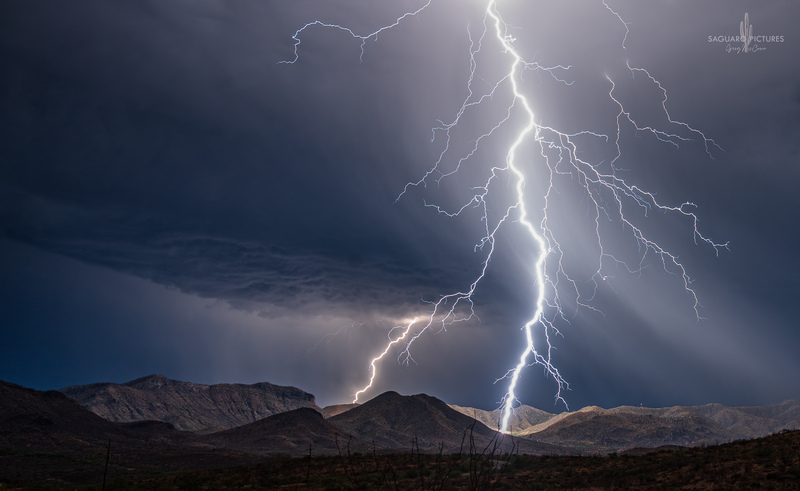 Up Close and Personal.jpg :: Up Close and Personal