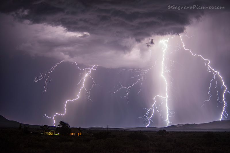 Wilcox Lightning.jpg :: Wilcox Lightning