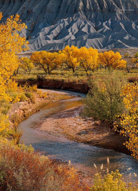 Winding Through.jpg :: Winding Through